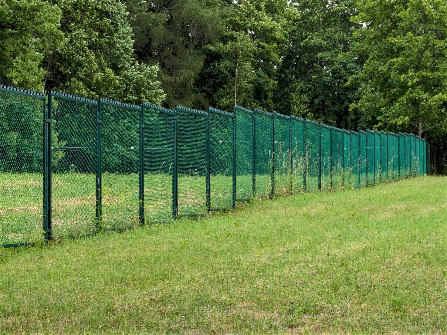 Photo of a green pvc coated chain link fence