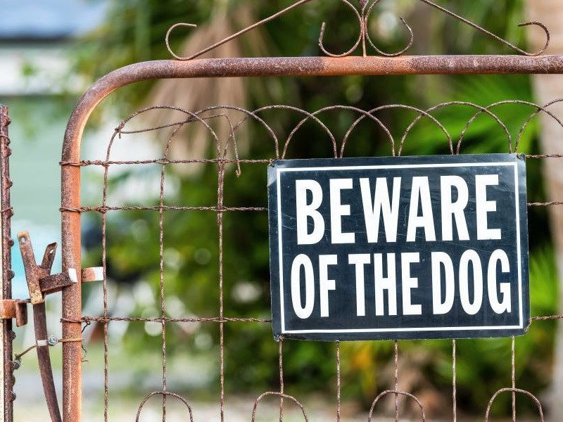 Photo of a rusty chain link fence gate