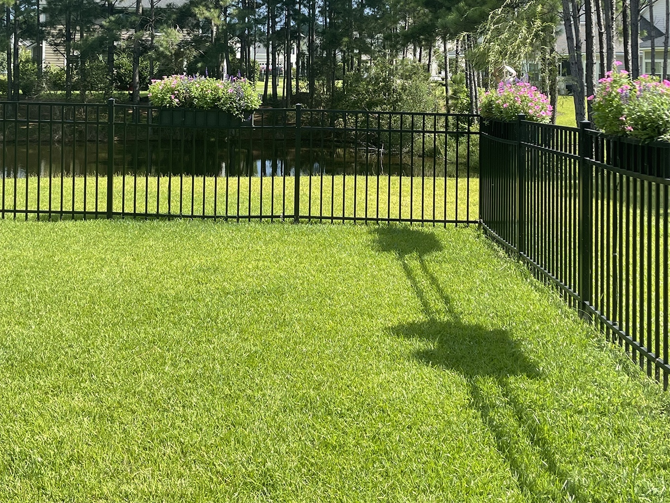 Photo of a Savannah Georgia aluminum fence
