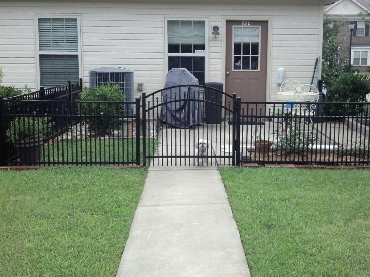Photo of a pet fence from a Savannah Georgia fence company